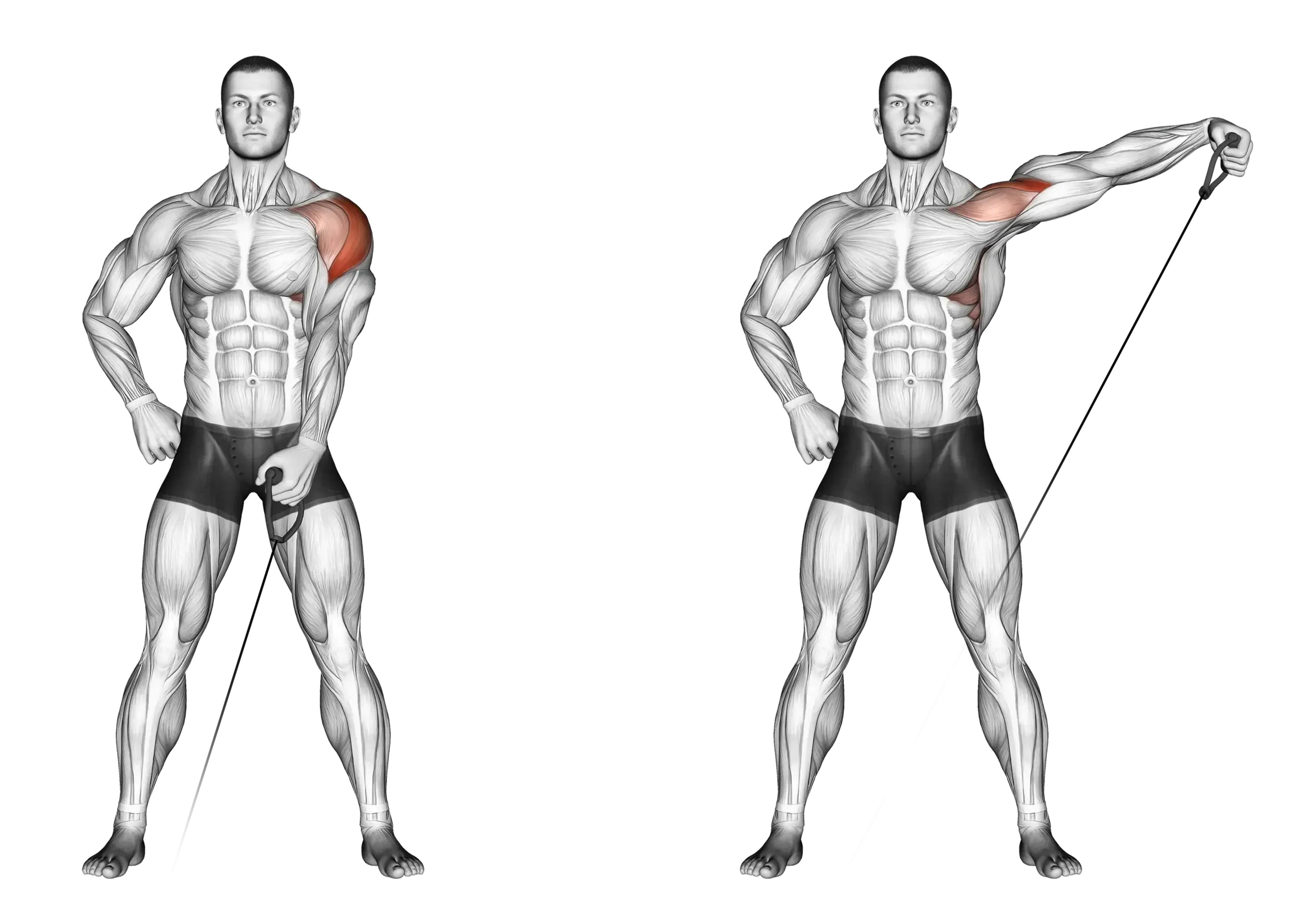 Cable Single-Arm Lateral Raise