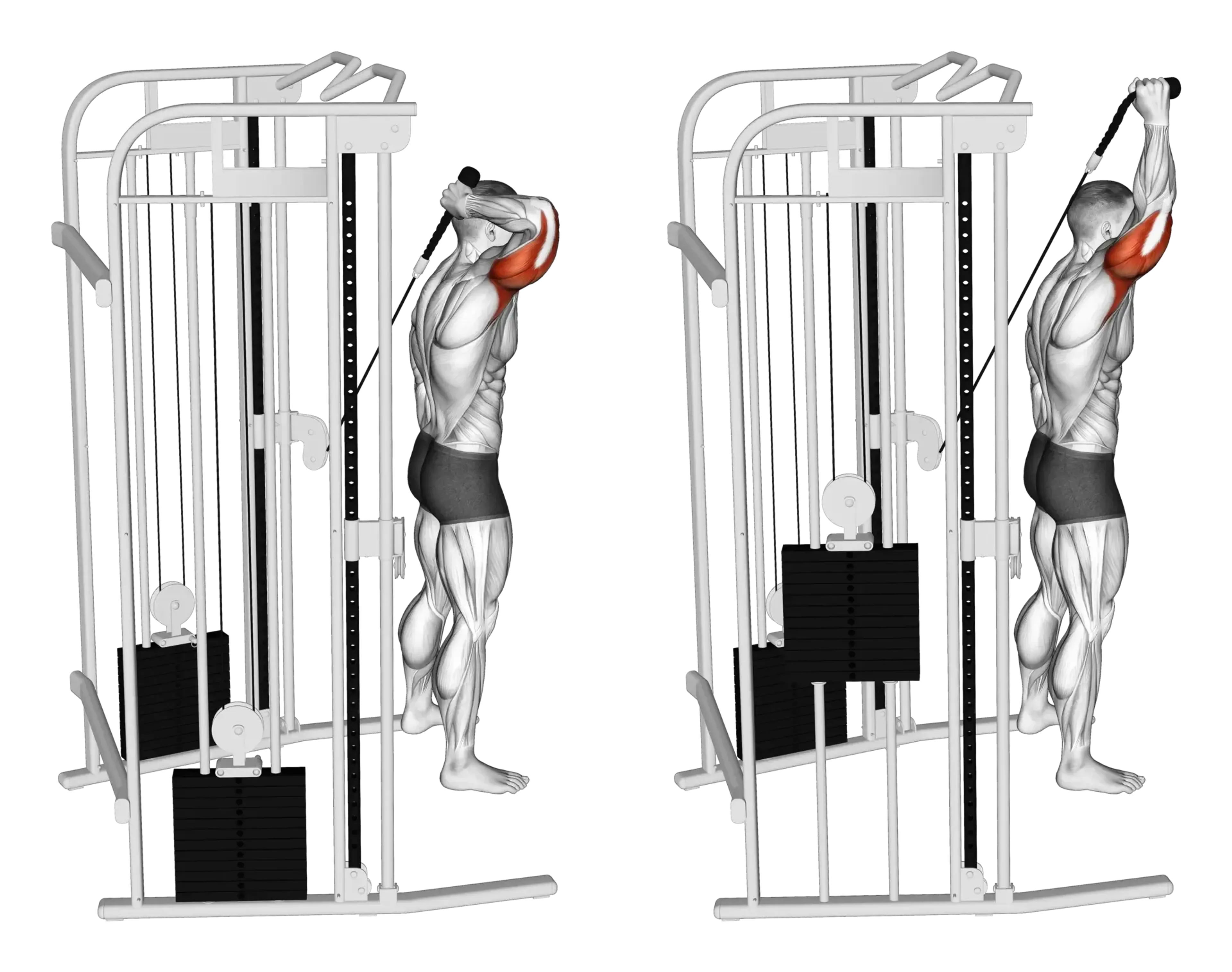 Cable Single-Arm Overhead Triceps Extension