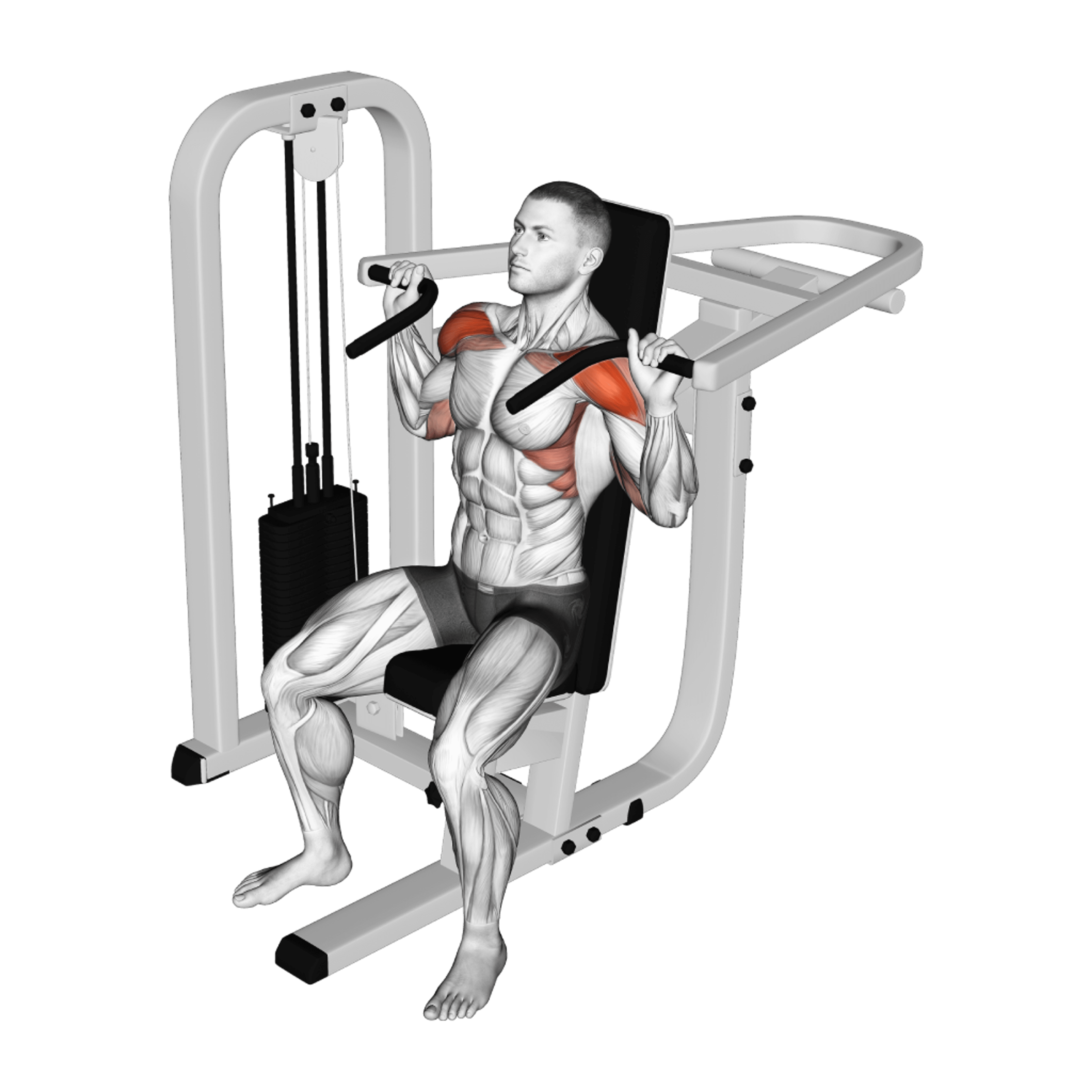 Machine Shoulder Press