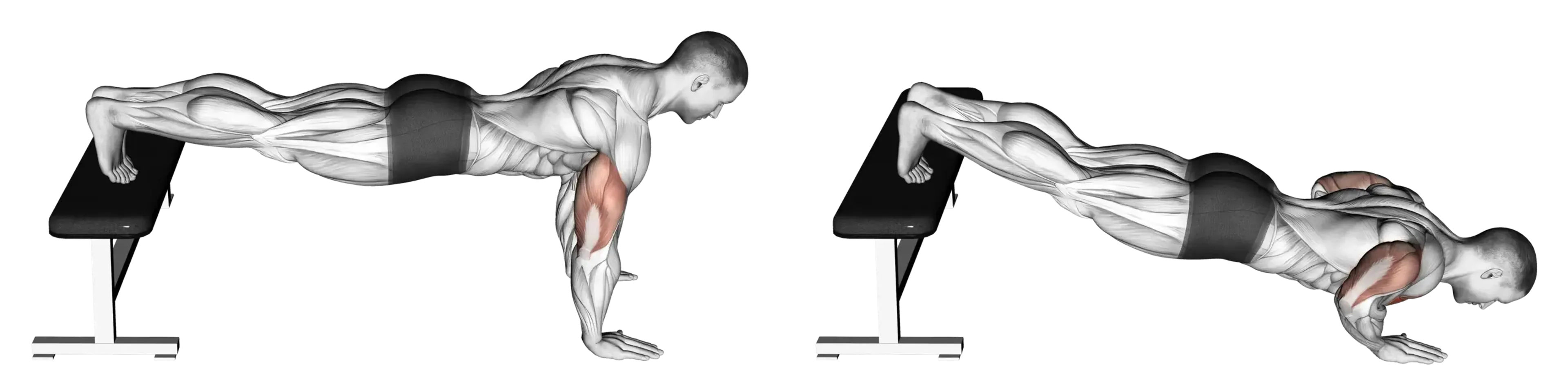 Decline Push-Up