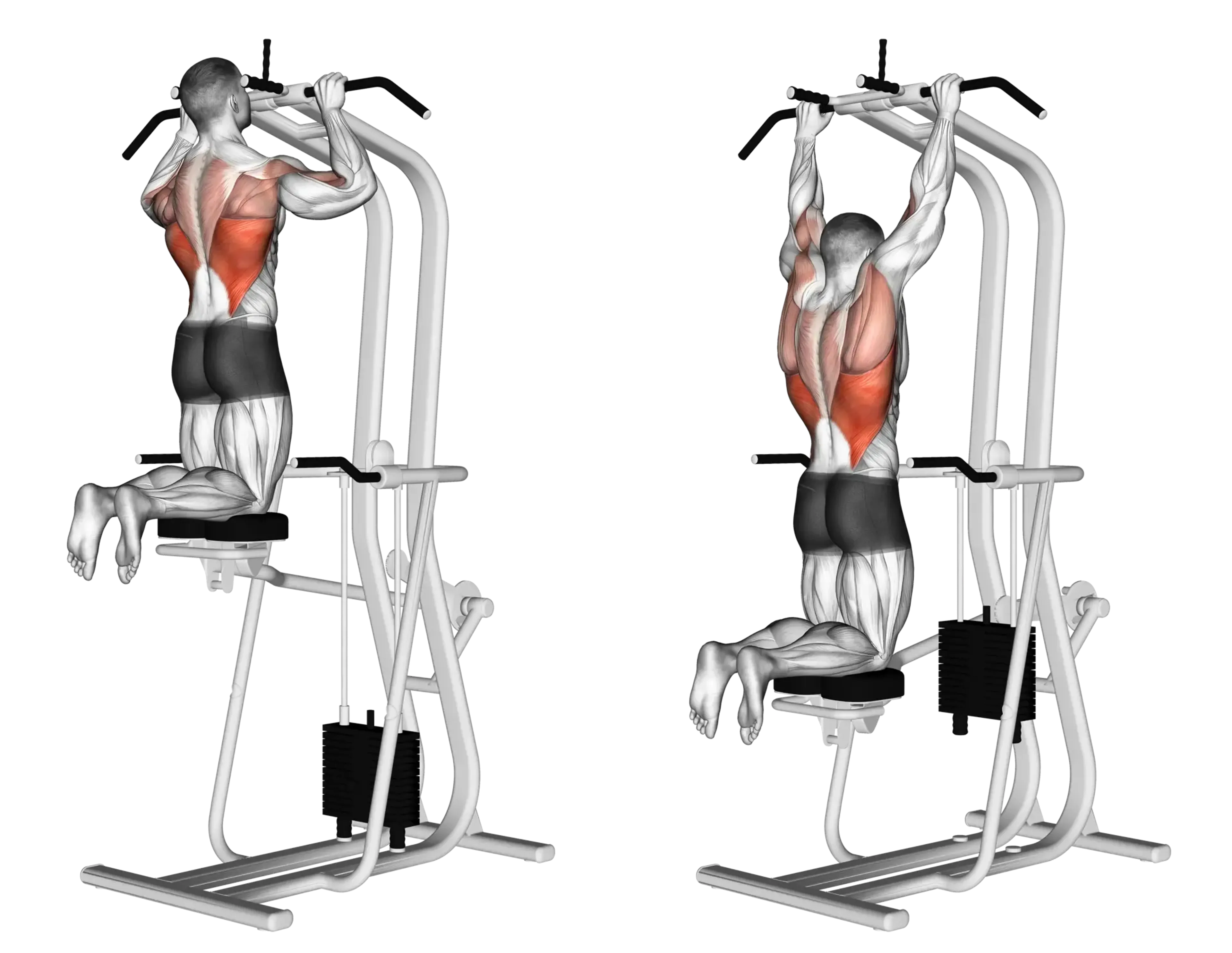 Assisted Pull Up Guide Muscles Worked Tips Athlemove Assisted Pull Up Guide Muscles Worked Tips Athlemove