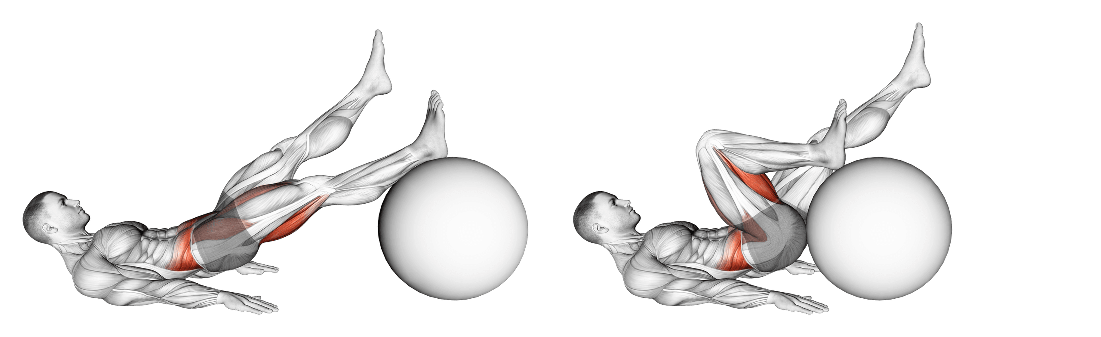 Exercise Ball Single-Leg Hamstring Curl