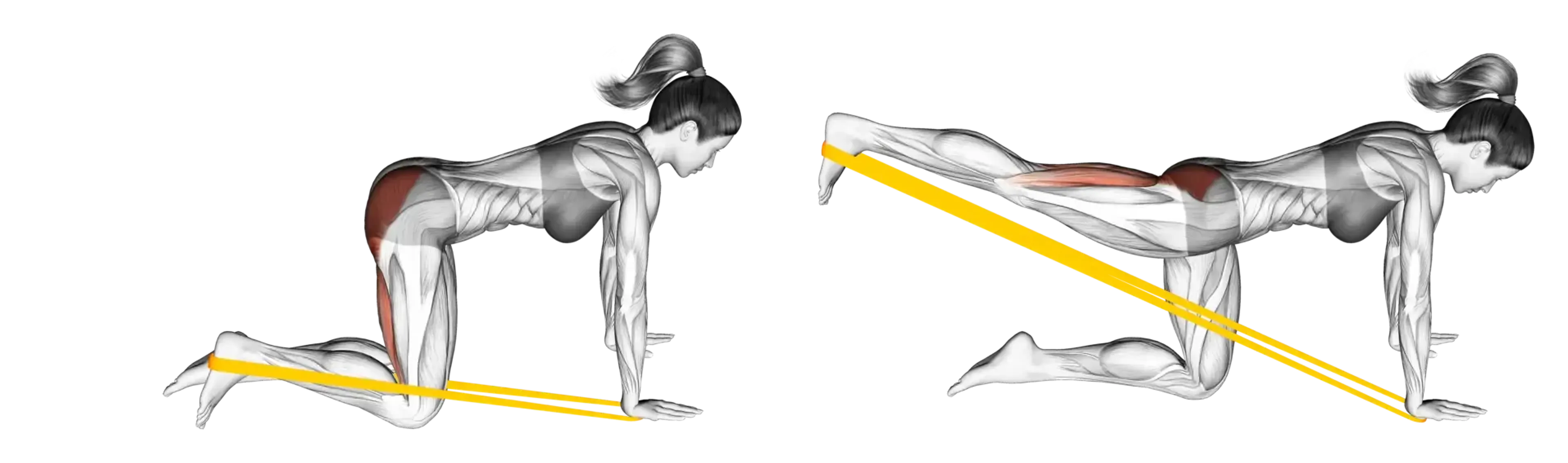 Band Kneeling Single-Leg Kickback